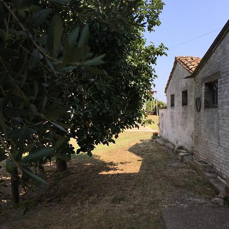 Casa Alex Villa Monterubbiano Exterior foto