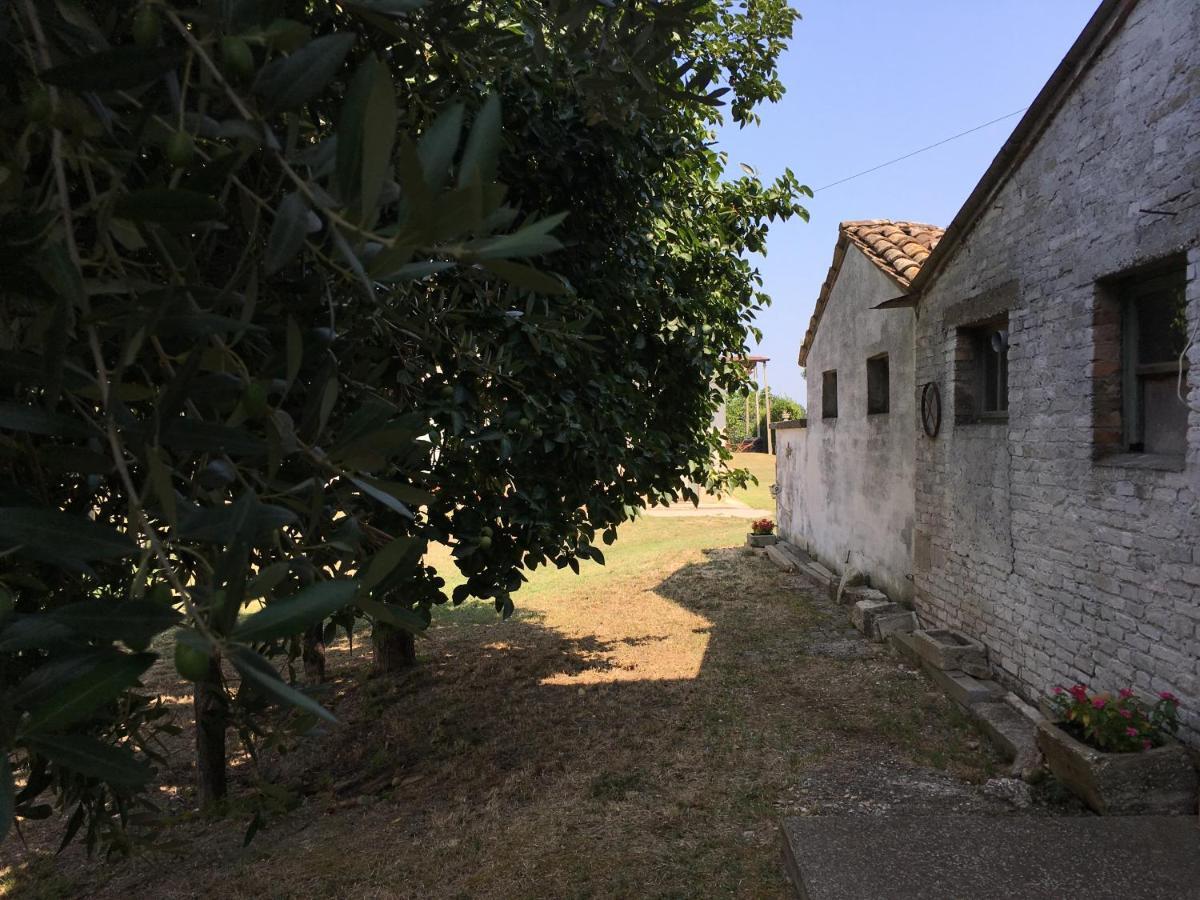 Casa Alex Villa Monterubbiano Exterior foto